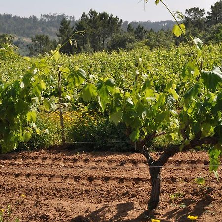 Quinta Da Serrana Ourém المظهر الخارجي الصورة