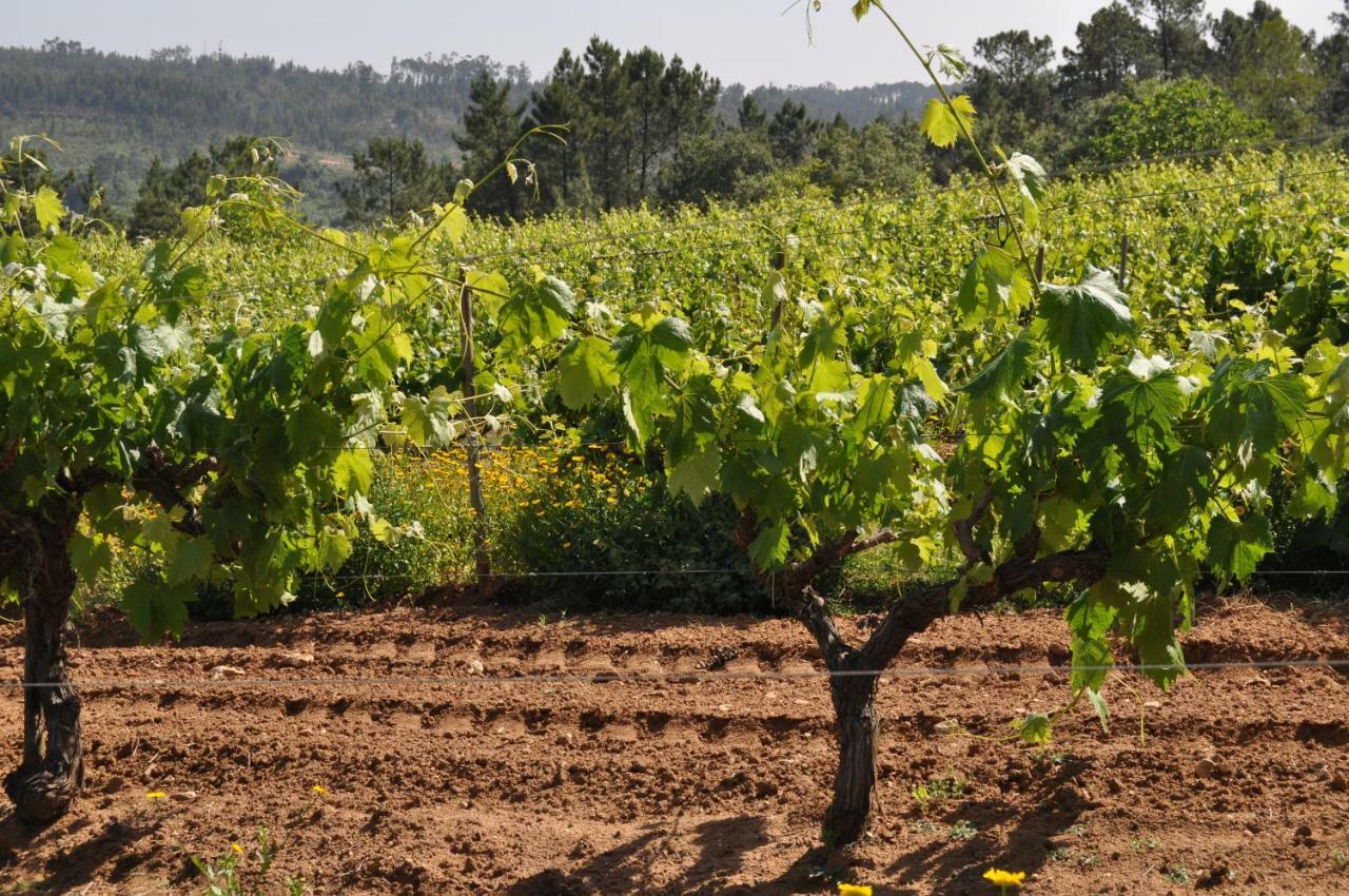Quinta Da Serrana Ourém المظهر الخارجي الصورة