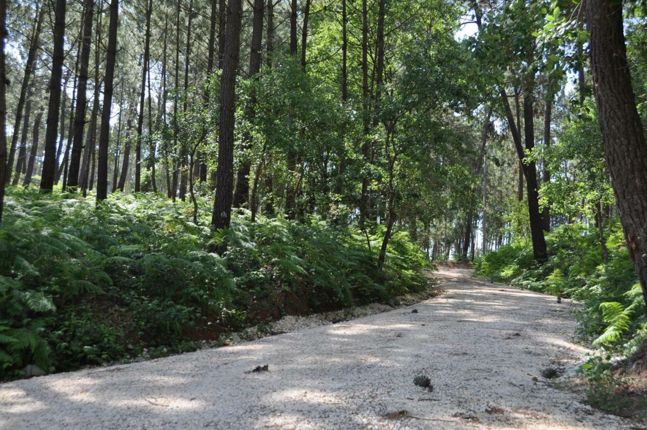 Quinta Da Serrana Ourém المظهر الخارجي الصورة