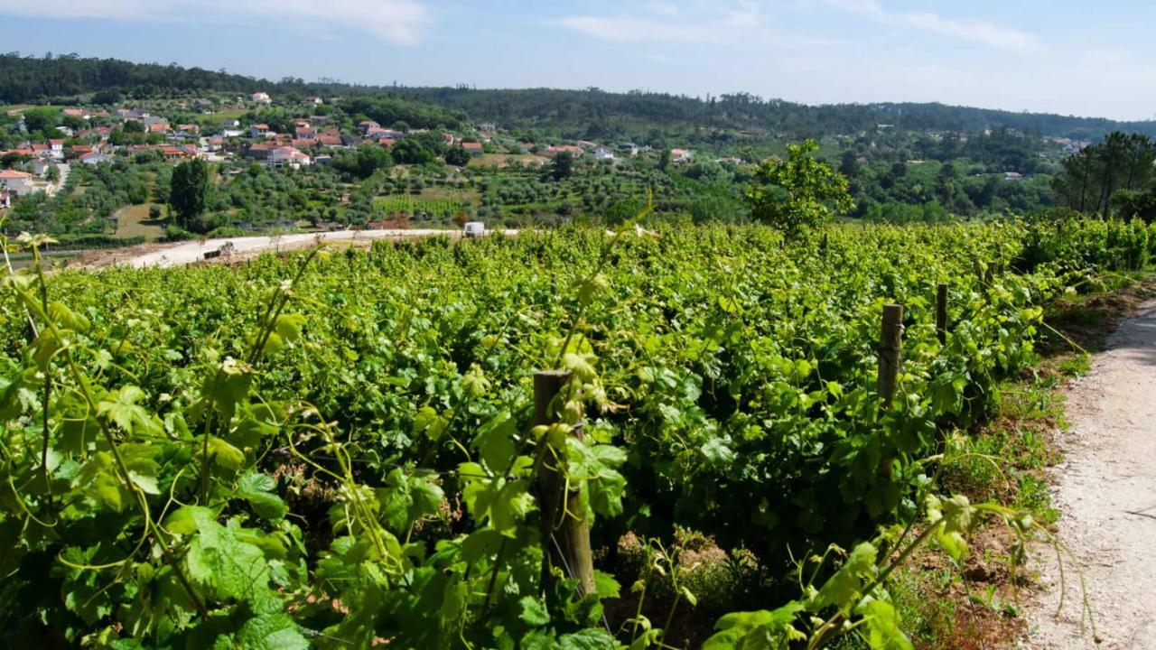 Quinta Da Serrana Ourém المظهر الخارجي الصورة
